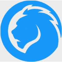 Logo Lion Consulting Srl