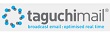 Logo TaguchiMail