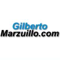Logo Agenzia Web Google - Marzuillo